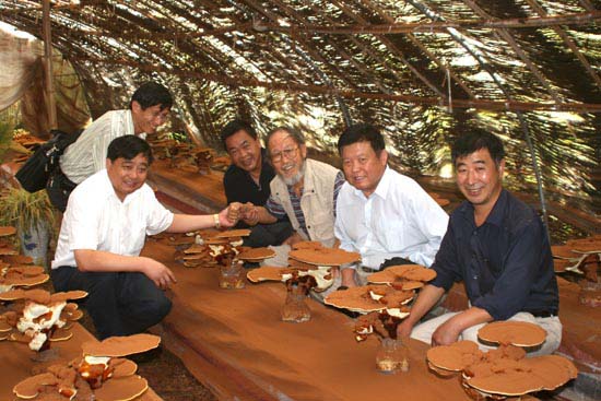 圖片關(guān)鍵詞 圖片關(guān)鍵詞