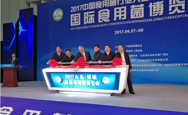 點擊打開原圖 QQ截圖20170410085957