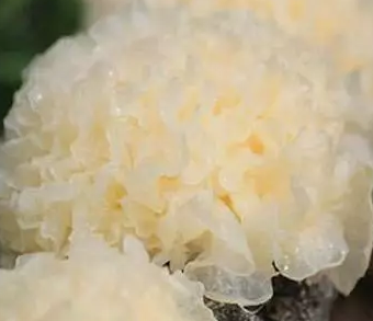 圖片關(guān)鍵詞 圖片關(guān)鍵詞