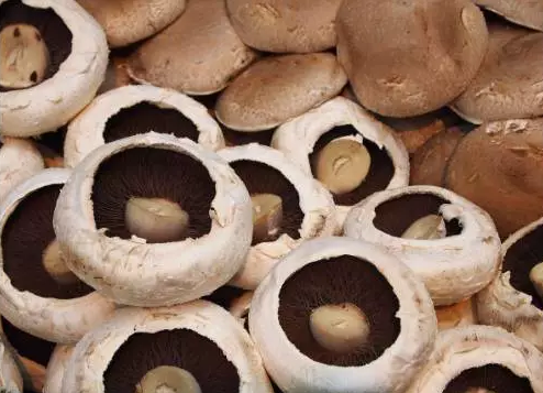 圖片關鍵詞 http://www.glyz.com.cn/ewebeditor/uploadfile/20170914091257506001.png