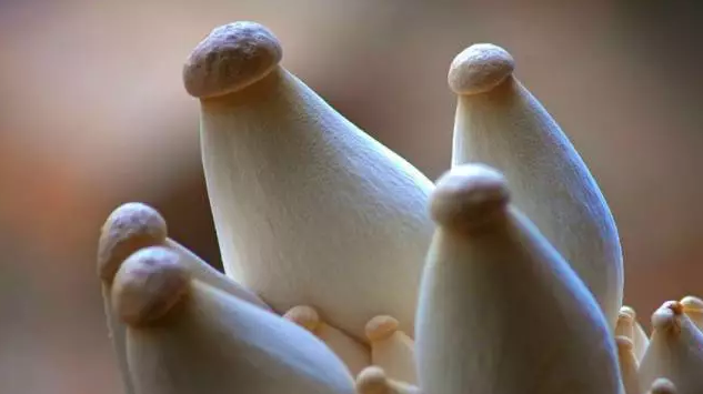 圖片關鍵詞 http://www.glyz.com.cn/ewebeditor/uploadfile/20170914091357269001.png