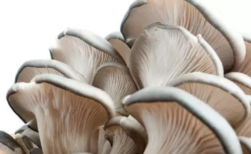 圖片關鍵詞 圖片關鍵詞