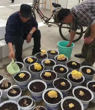 圖片關(guān)鍵詞 圖片關(guān)鍵詞