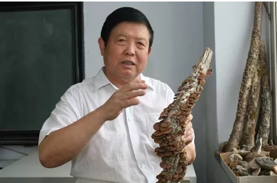 圖片關鍵詞 圖片關鍵詞