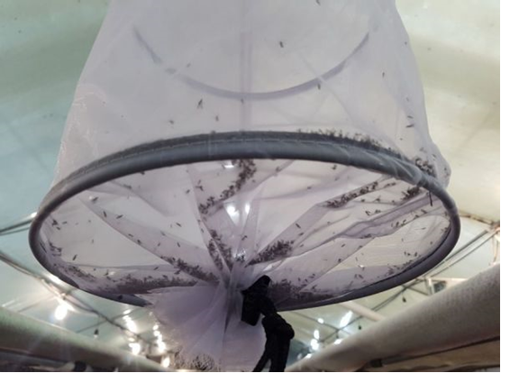 圖片關鍵詞 圖片關鍵詞