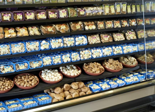 圖片關鍵詞 http://www.mushroommarket.net/file/upload/202004/21/13-30-41-69-283825.png