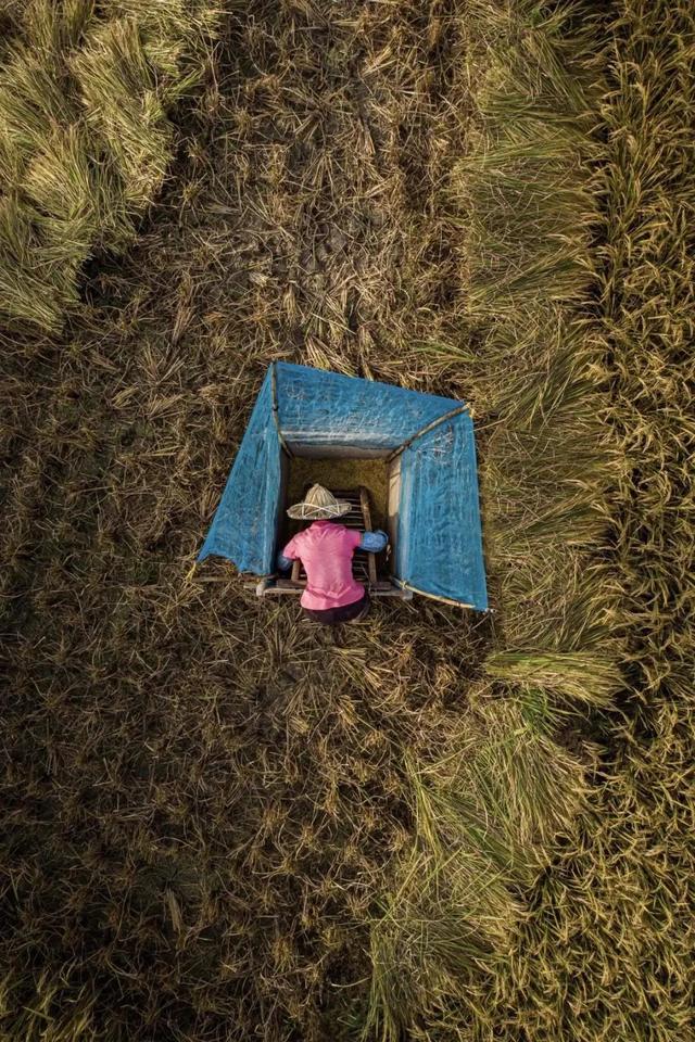 圖片關鍵詞 國家蘑菇地理:中國哪里的蘑菇最好吃?