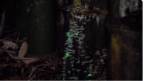 圖片關鍵詞 圖片關鍵詞