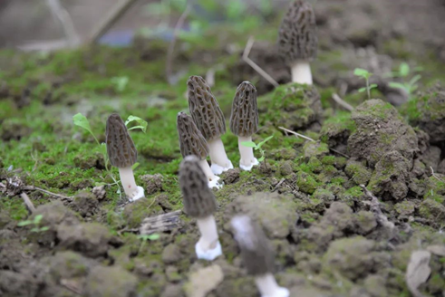 圖片關(guān)鍵詞 圖片關(guān)鍵詞