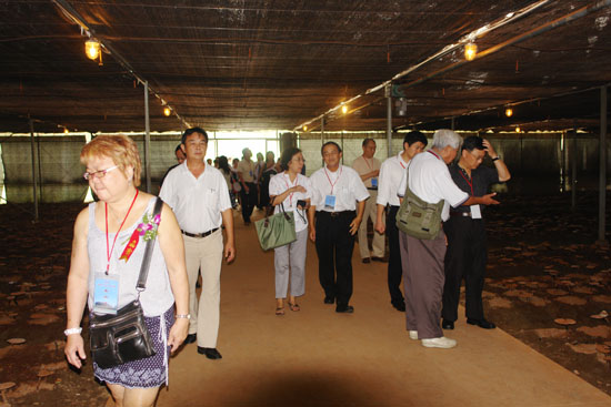 圖片關(guān)鍵詞 圖片關(guān)鍵詞