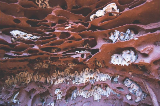 圖片關(guān)鍵詞 圖片關(guān)鍵詞