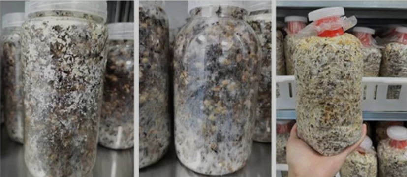 圖片關鍵詞 圖片關鍵詞