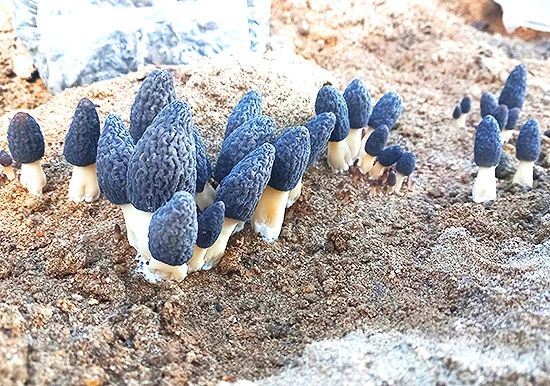 圖片關鍵詞 圖片關鍵詞