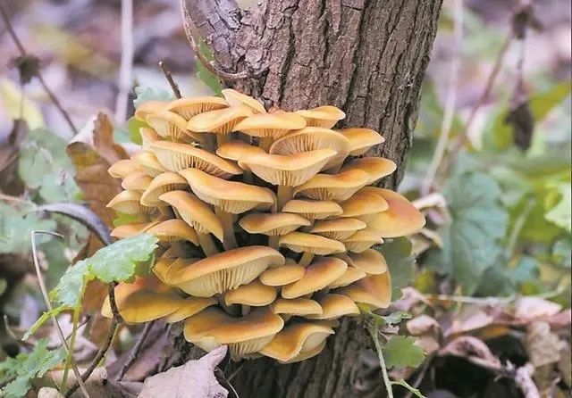 圖片關鍵詞 圖片關鍵詞