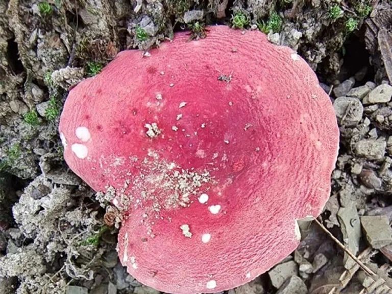 圖片關鍵詞 圖片關鍵詞