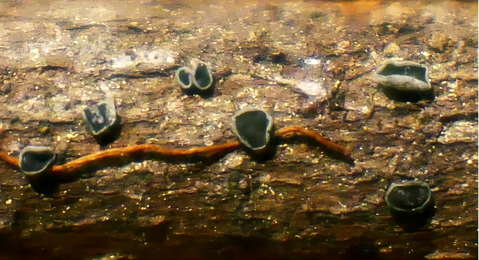 圖片關鍵詞 圖片關鍵詞