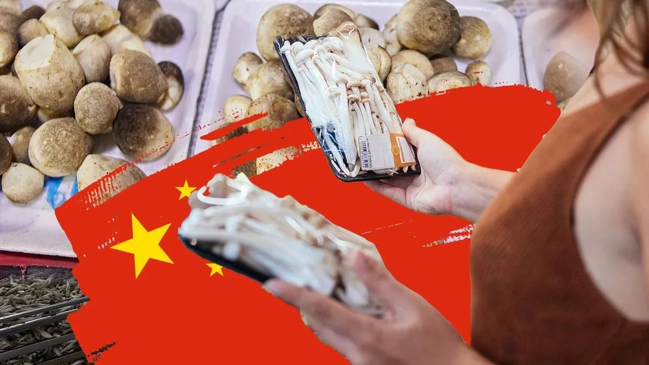 圖片關鍵詞 圖片關鍵詞