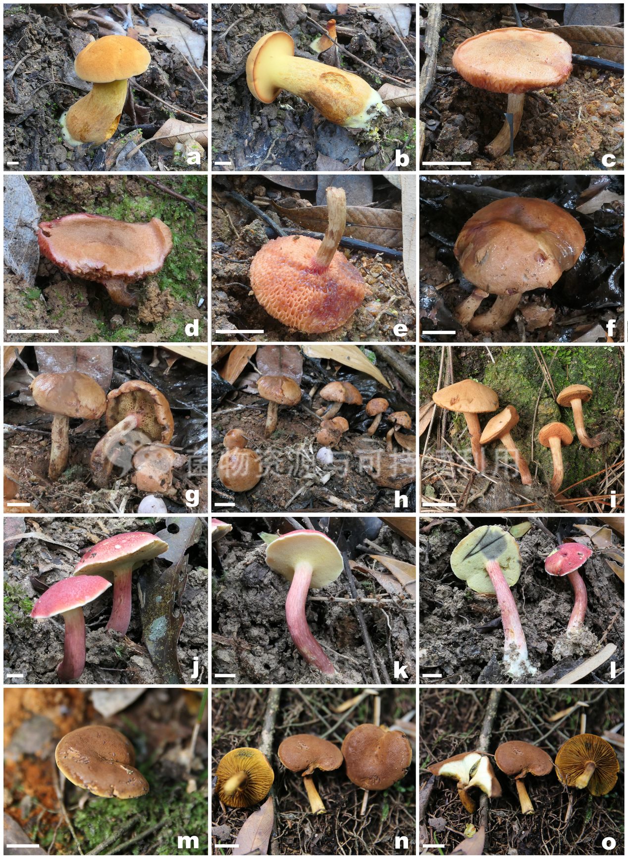 圖片關鍵詞 圖片關鍵詞