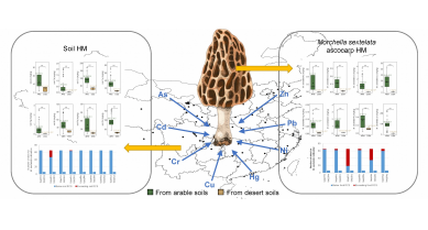 行業(yè)動態(tài)